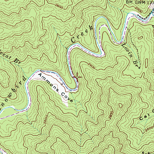 Topographic Map of Ammons Cove, NC