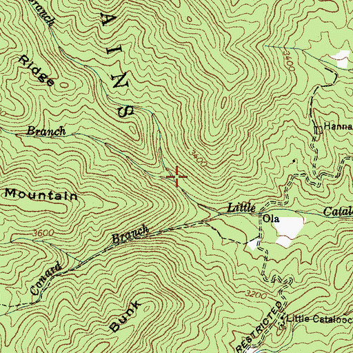 Topographic Map of Andy Branch, NC