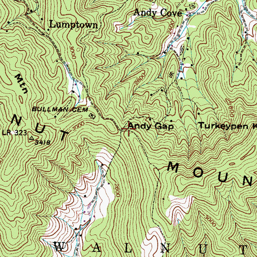 Topographic Map of Andy Gap, NC