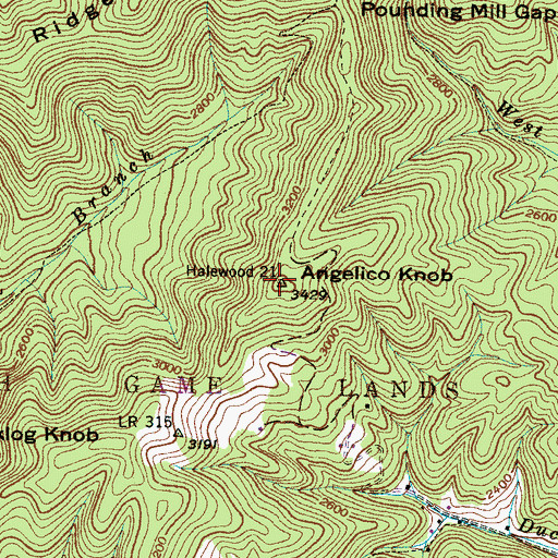 Topographic Map of Angelico Knob, NC