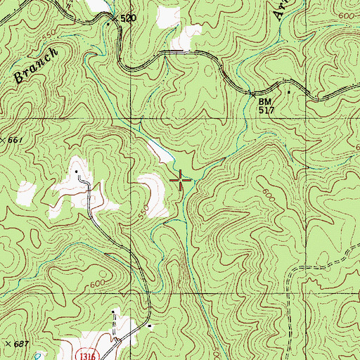 Topographic Map of Arnett Branch, NC
