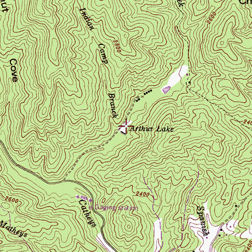 Topographic Map of Arthur Lake, NC