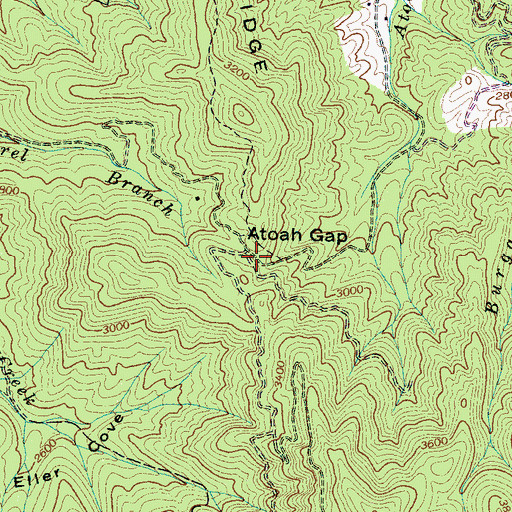 Topographic Map of Atoah Gap, NC