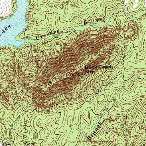 Topographic Map of Back Creek Mountain, NC
