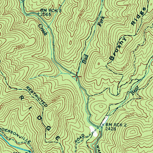 Topographic Map of Bad Fork, NC