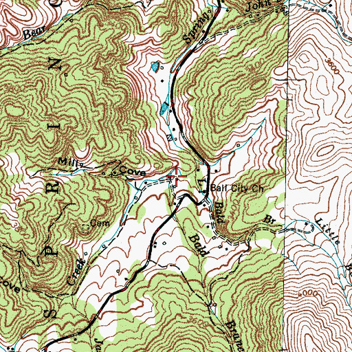 Topographic Map of Bald Branch, NC