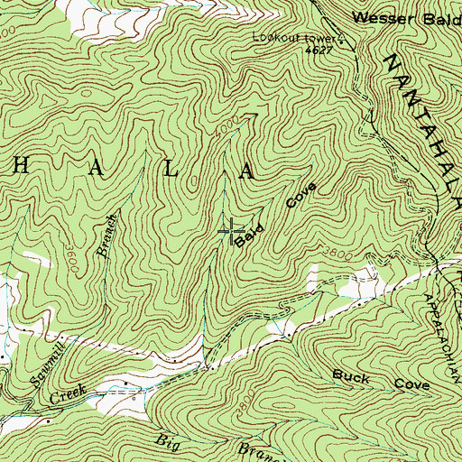Topographic Map of Bald Cove, NC