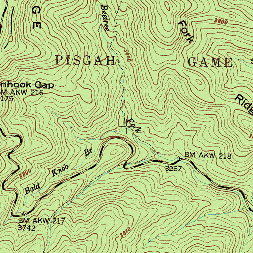 Topographic Map of Bald Knob Branch, NC