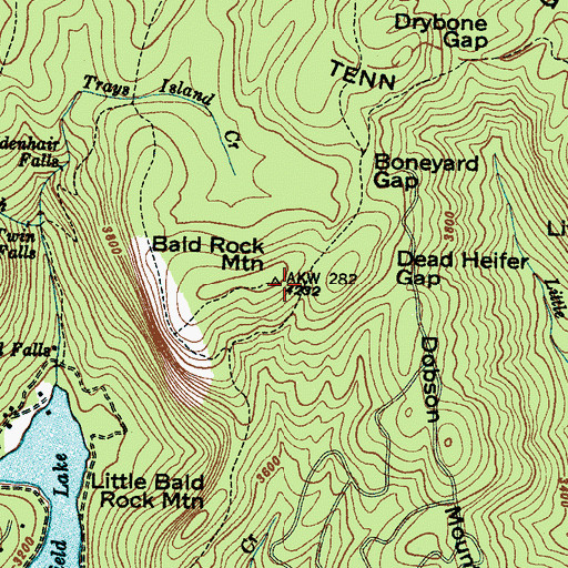 Topographic Map of Bald Rock Mountain, NC