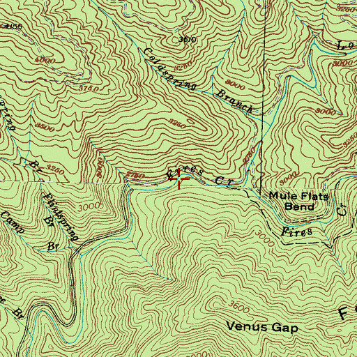 Topographic Map of Bald Springs Branch, NC