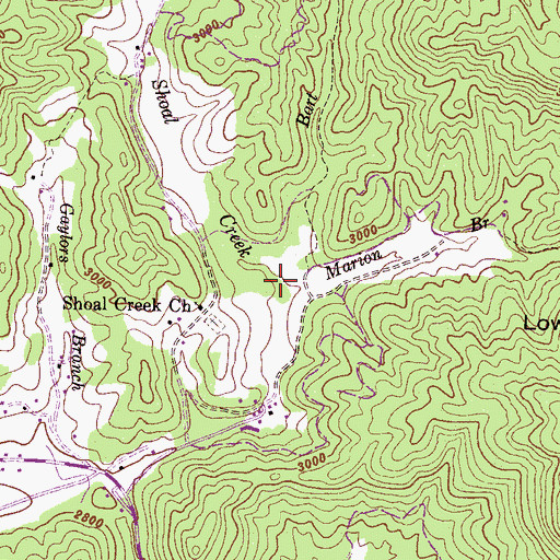 Topographic Map of Bart Branch, NC