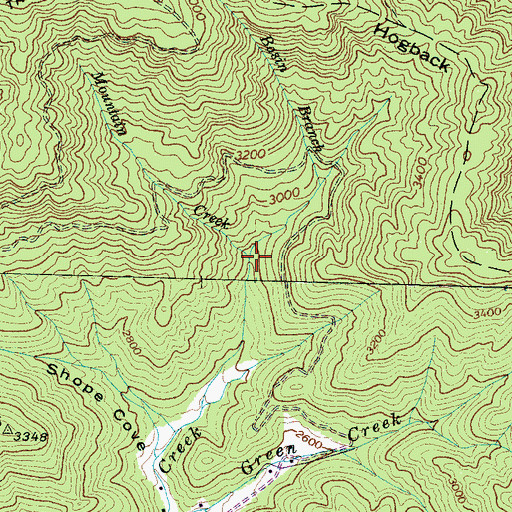 Topographic Map of Basin Branch, NC