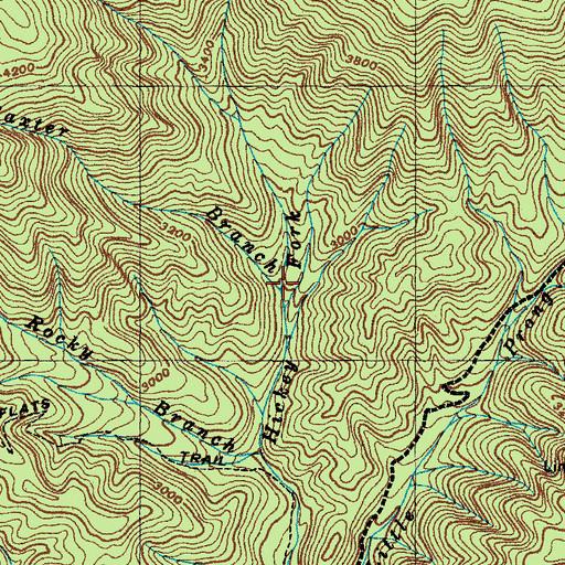 Topographic Map of Baxter Branch, NC