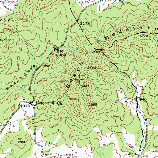 Topographic Map of Beach Mountain, NC