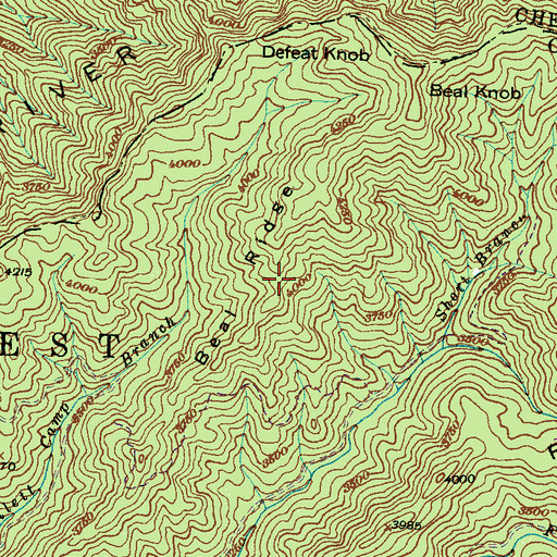 Topographic Map of Beal Ridge, NC