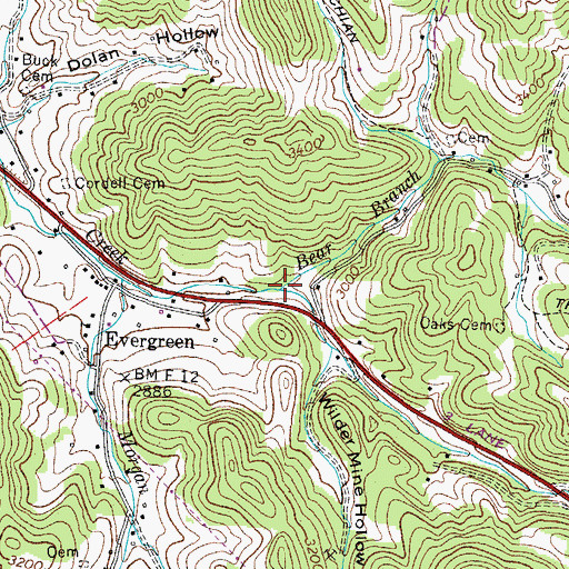 Topographic Map of Bear Branch, TN