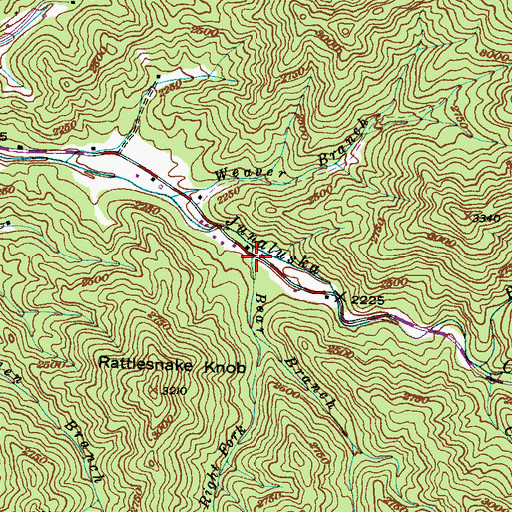 Topographic Map of Bear Branch, NC