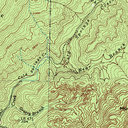 Topographic Map of Bear Branch, NC