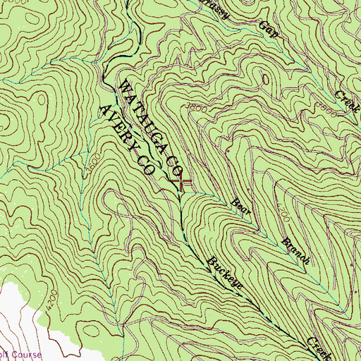 Topographic Map of Bear Branch, NC