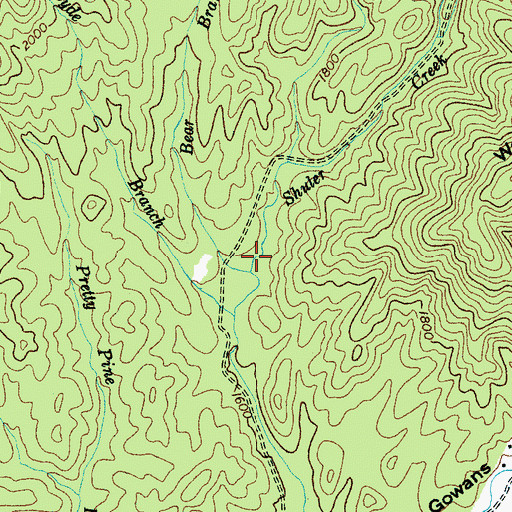 Topographic Map of Bear Branch, NC