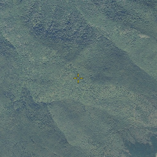 Aerial/Satellite Image of Bear Gap, NC