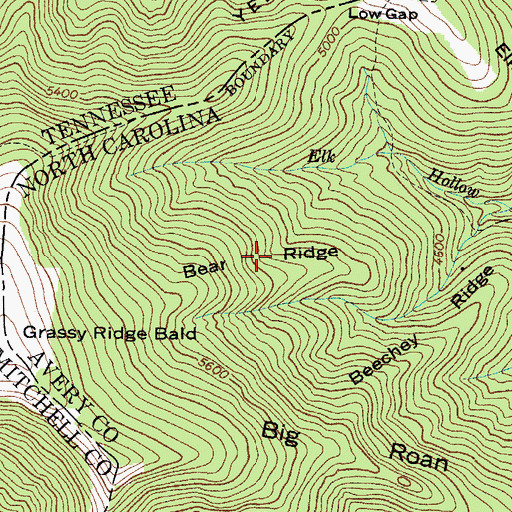 Topographic Map of Bear Ridge, NC