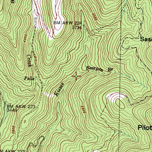 Topographic Map of Bearpen Branch, NC