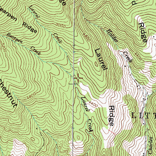 Topographic Map of Bearpen Creek, NC