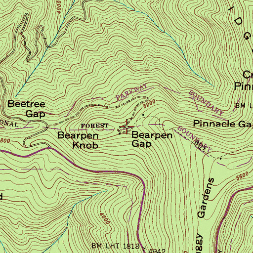Topographic Map of Bearpen Gap, NC