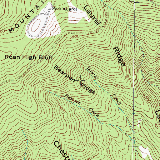 Topographic Map of Bearpen Ridge, NC