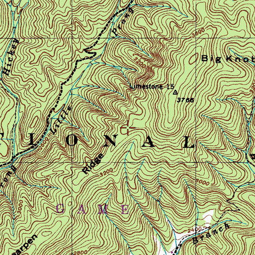 Topographic Map of Bearpen Ridge, NC