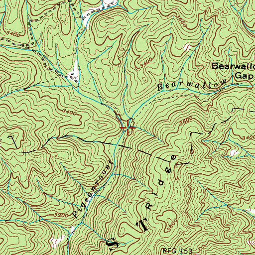 Topographic Map of Bearwallow Creek, NC