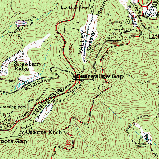 Topographic Map of Bearwallow Gap, NC