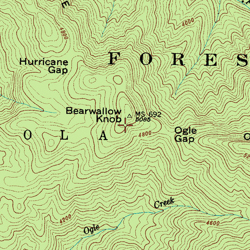 Topographic Map of Bearwallow Knob, NC
