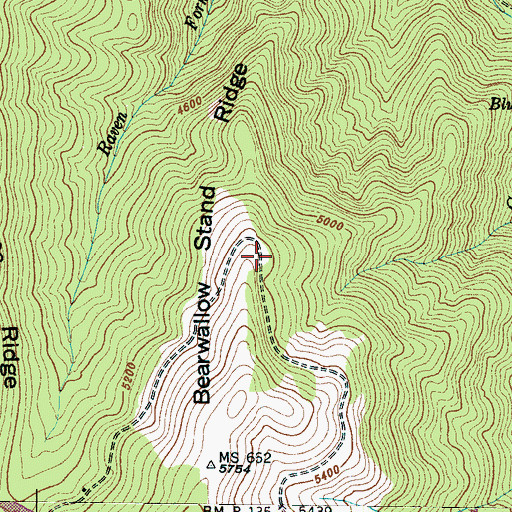 Topographic Map of Bearwallow Stand Ridge, NC