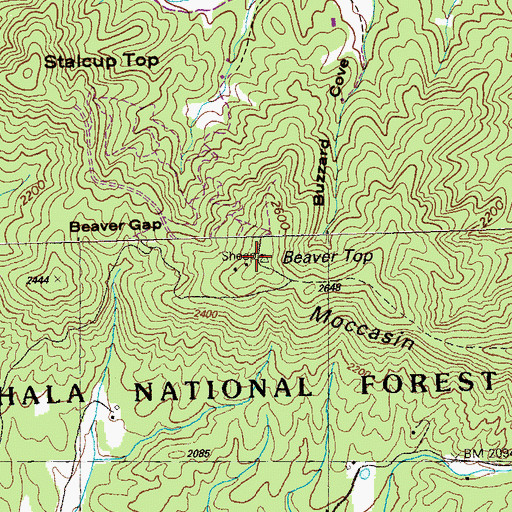 Topographic Map of Beaver Top, NC
