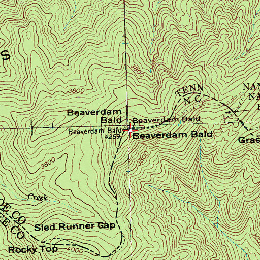 Topographic Map of Beaverdam Bald, NC