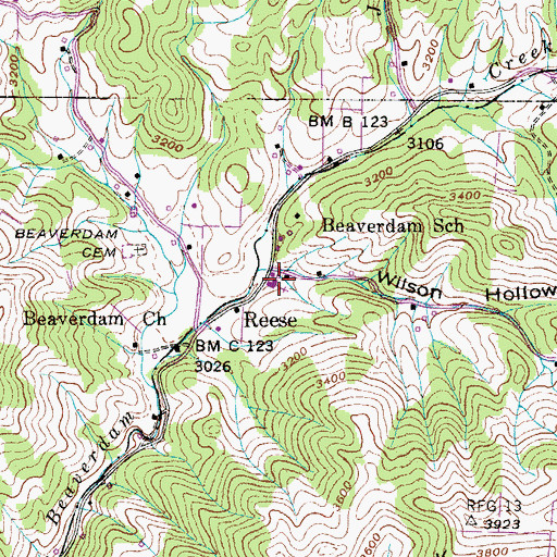 Topographic Map of Beaverdam School, NC