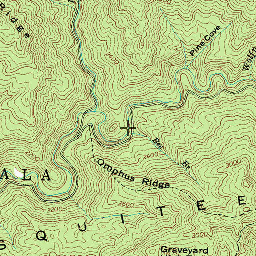 Topographic Map of Bee Branch, NC