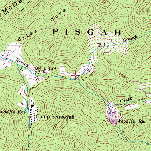 Topographic Map of Bee Branch, NC