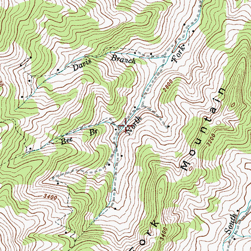 Topographic Map of Bee Branch, NC