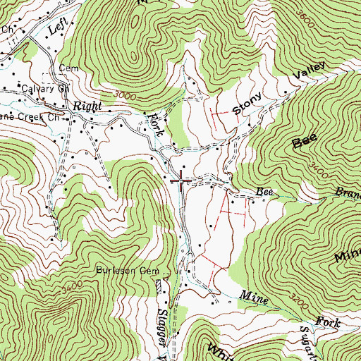 Topographic Map of Bee Branch, NC
