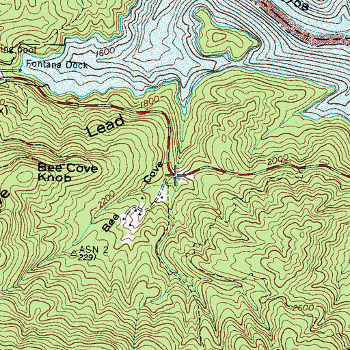 Topographic Map of Bee Cove, NC