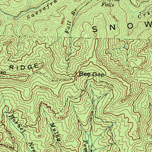 Topographic Map of Bee Gap, NC