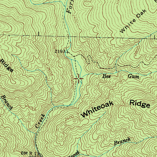 Topographic Map of Bee Gum Branch, NC