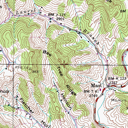 Topographic Map of Bee Tree Ridge, NC