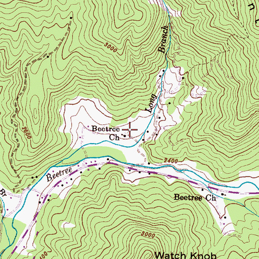 Topographic Map of Beetree Church, NC