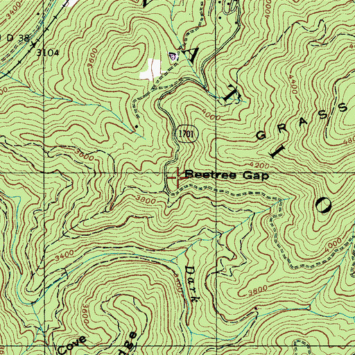 Topographic Map of Beetree Gap, NC