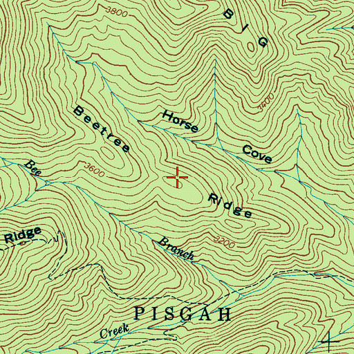 Topographic Map of Beetree Ridge, NC