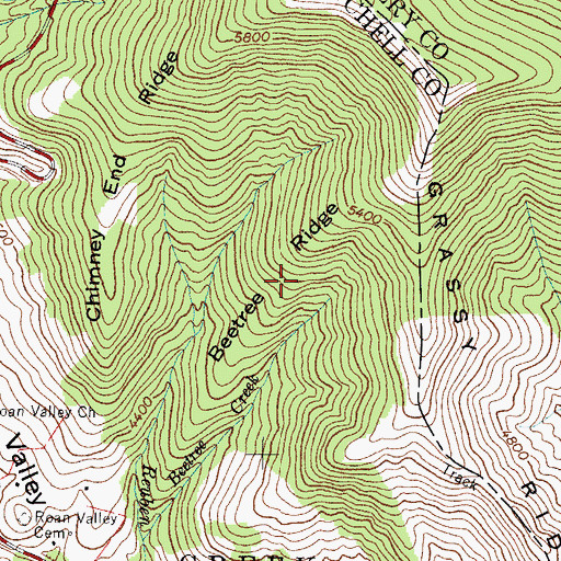 Topographic Map of Beetree Ridge, NC